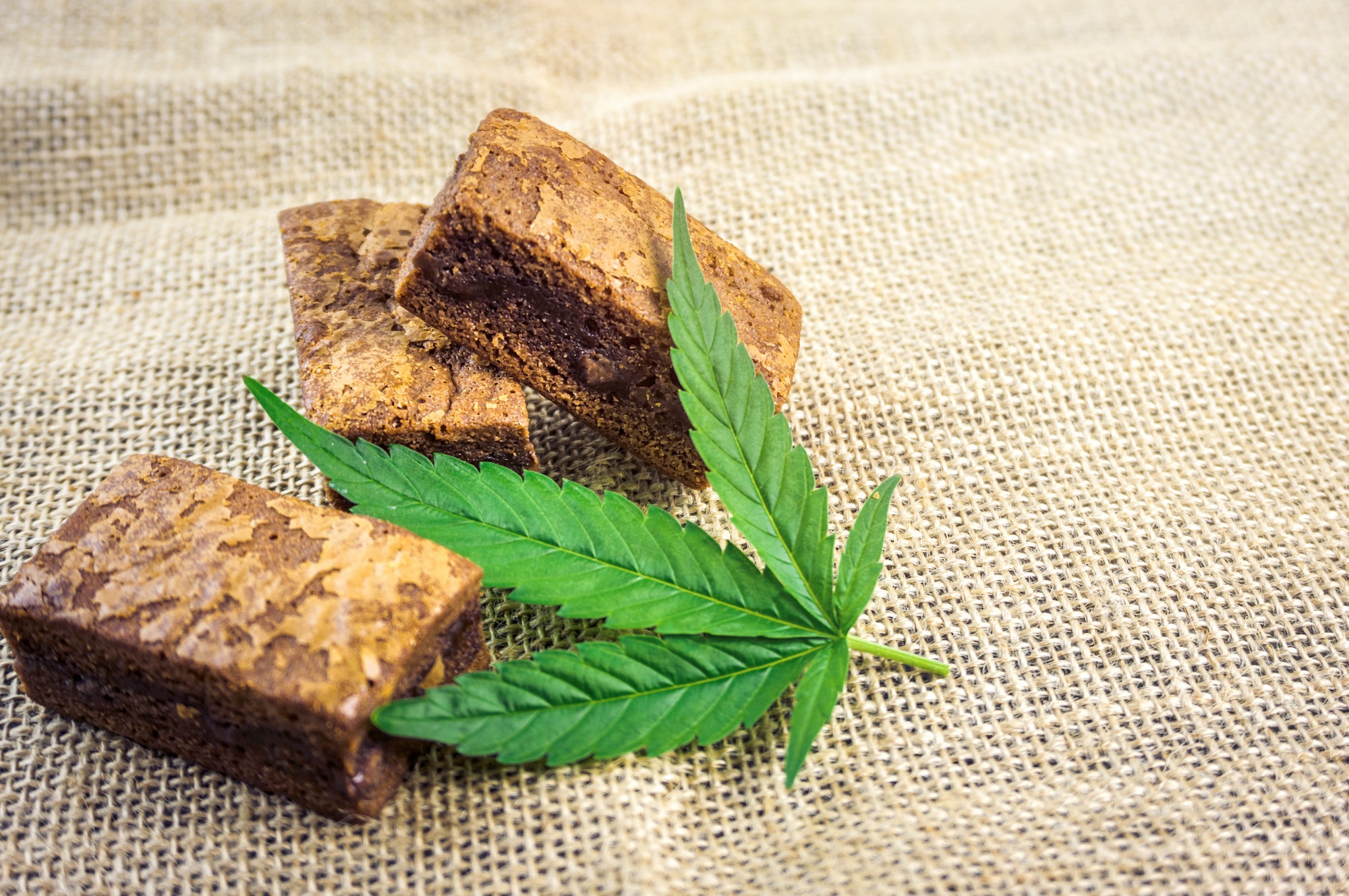 Cannabis hash brownies on hemp cloth CBD infused edibles